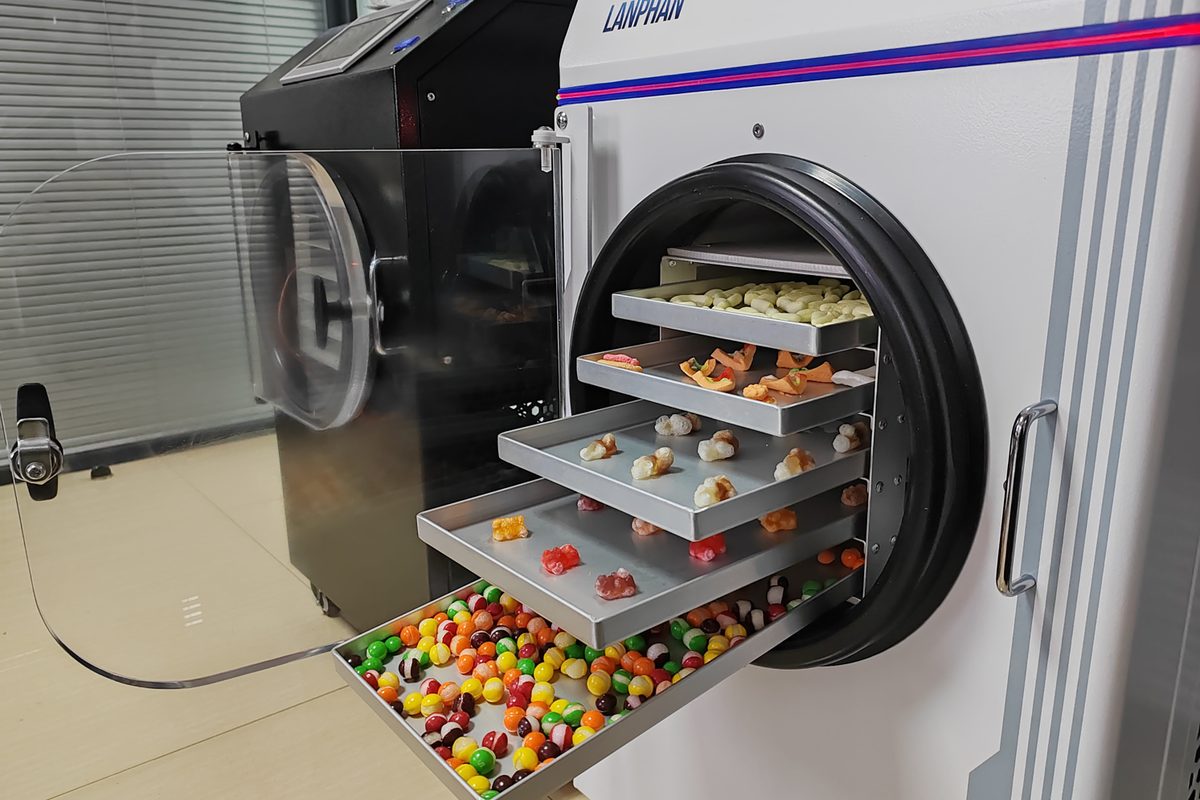 Freeze dryer loaded with candy trays for a small candy business