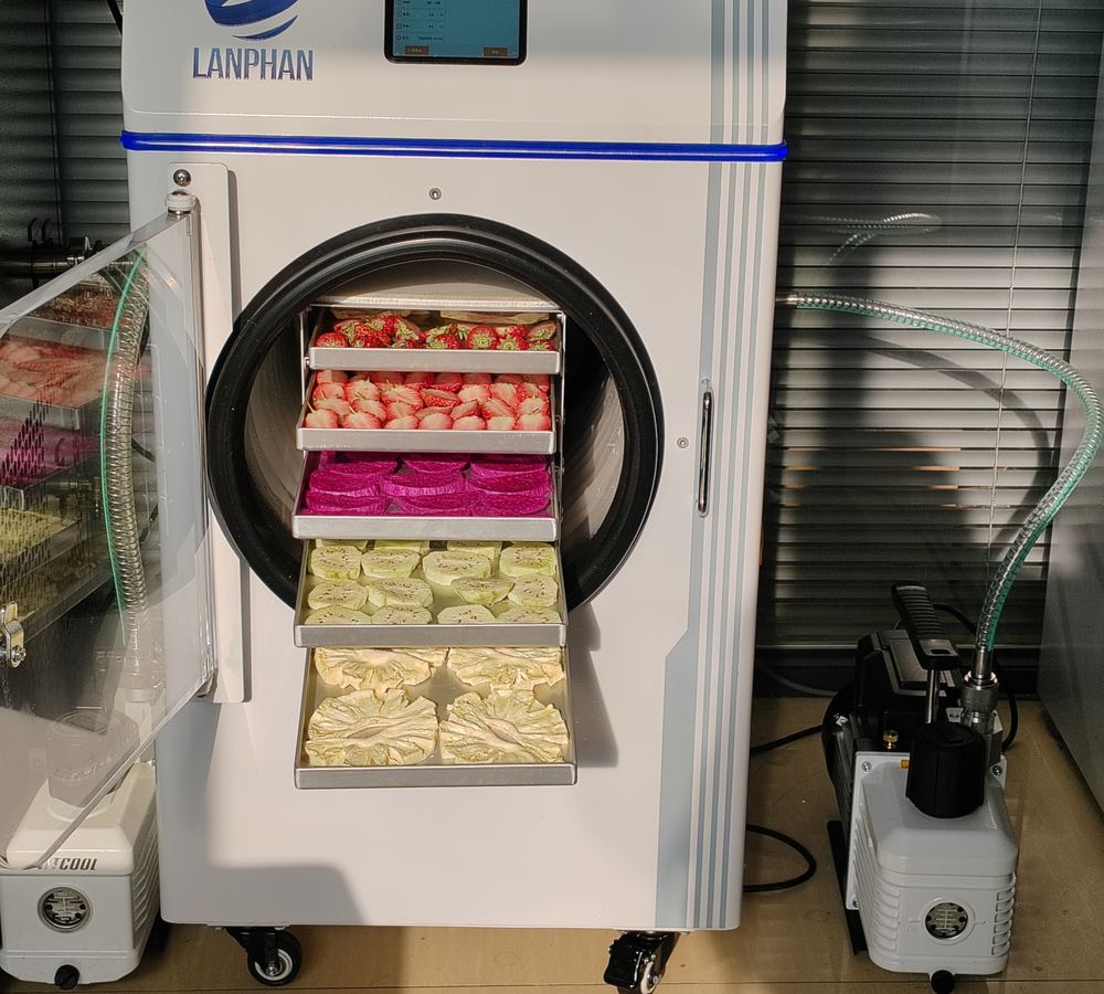 Fruit loaded in a Lanphan freeze dryer chamber