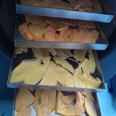 Freeze Dryer and Dehydrator