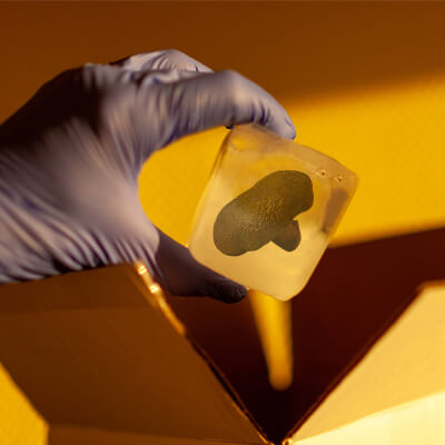 Nutrient-Preservation