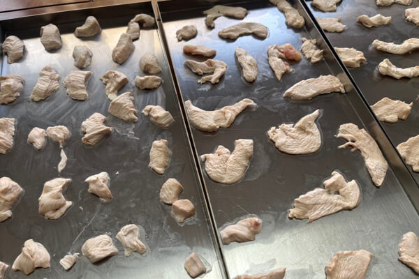 Freeze Dried Chicken