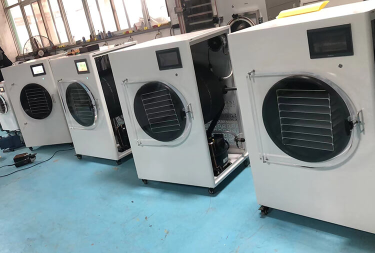 Freeze dryers Southeast Asia