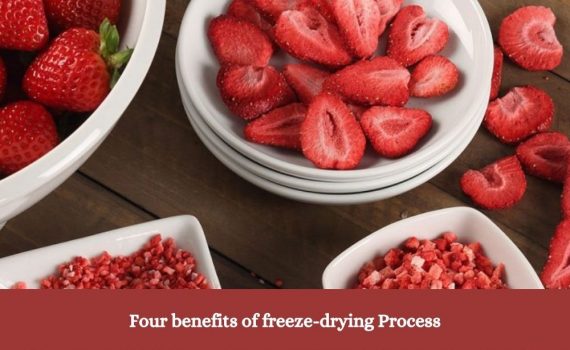 Four benefits of freeze-drying Process