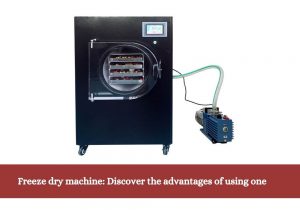 Freeze dry machine Discover the advantages 