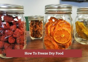 How To Freeze Dry Food