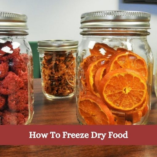 How To Freeze Dry Food