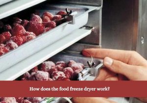 How does the food freeze dryer work