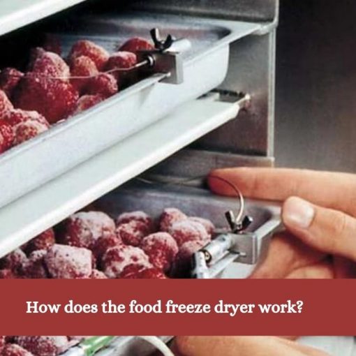 How does the food freeze dryer work