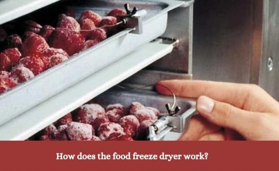 How does the food freeze dryer work