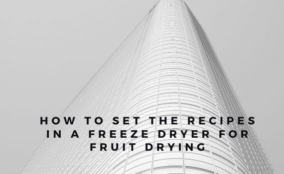 How To Freeze Dry Food (2)