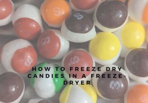 How To Freeze Dry Food (3)