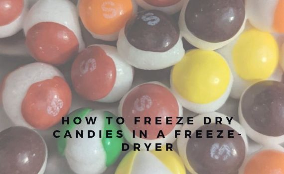 How To Freeze Dry Food (3)