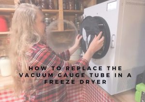 How To Freeze Dry Food (4)