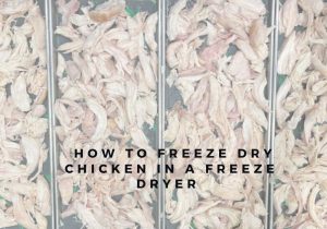 How To Freeze Dry Food (5)