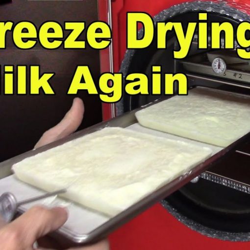 How To Freeze Dry Food (6)