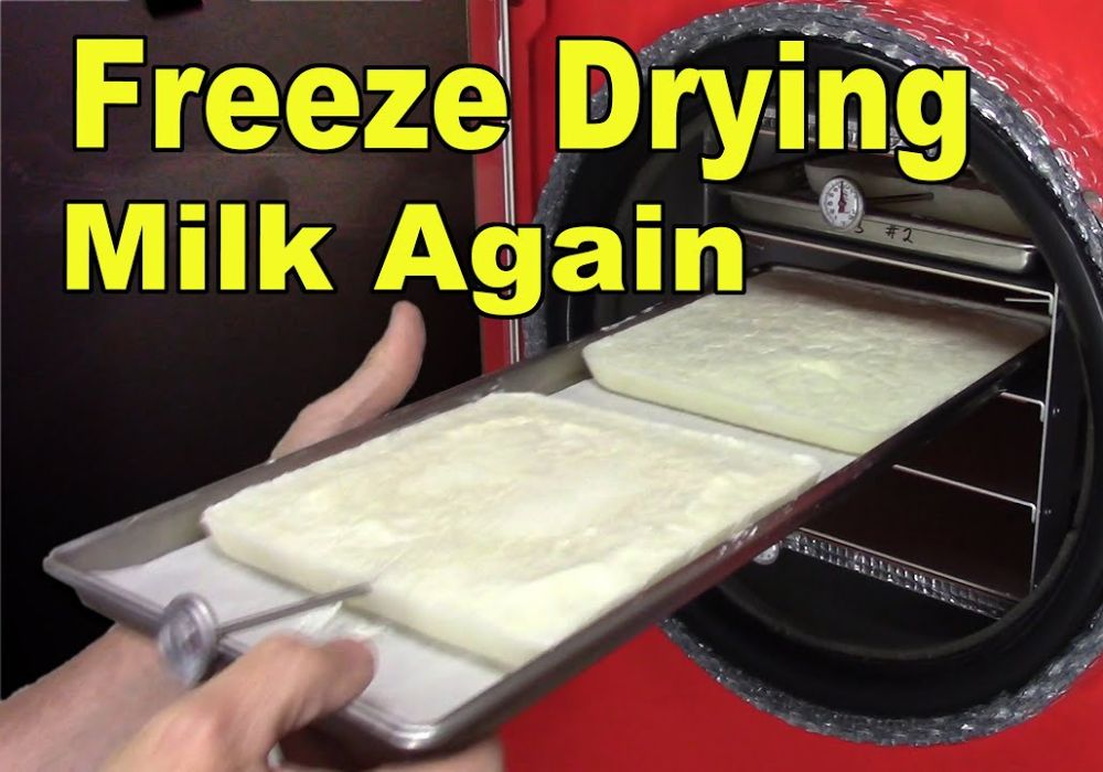 How To Freeze Dry Food (6)