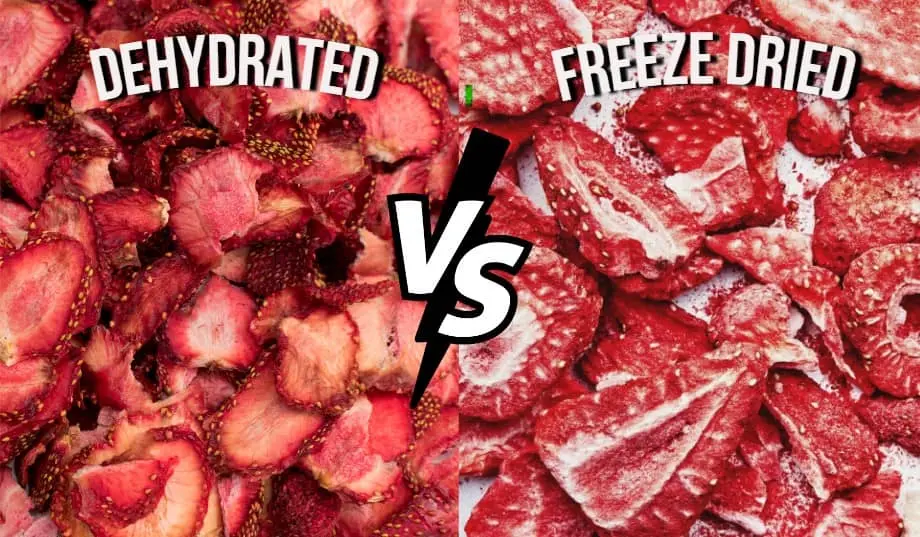 Freeze-Dried Food versus Got dried out Food: What’s the Distinction?
