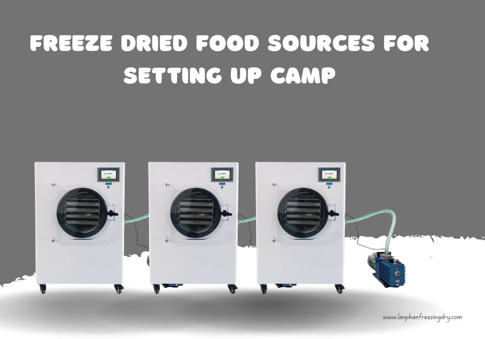 Motivations to Purchase a Freeze Dryer versus Locally acquired Freeze-Dried Food