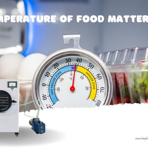 The Difference Between Freeze Dryer and Dehydrator, and Why Choose a